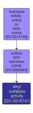 GO:0018741 - alkyl sulfatase activity (interactive image map)