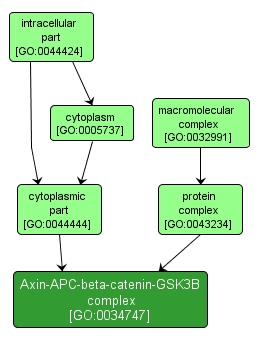 GO:0034747 - Axin-APC-beta-catenin-GSK3B complex (interactive image map)