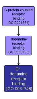 GO:0031748 - D1 dopamine receptor binding (interactive image map)
