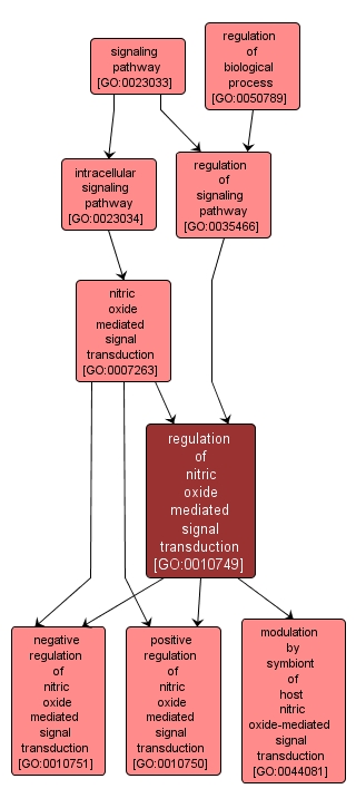 GO:0010749 - regulation of nitric oxide mediated signal transduction (interactive image map)