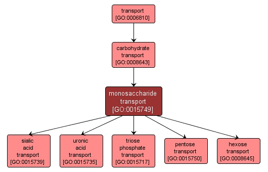 GO:0015749 - monosaccharide transport (interactive image map)