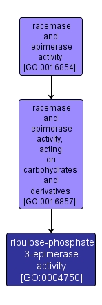 GO:0004750 - ribulose-phosphate 3-epimerase activity (interactive image map)