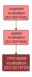GO:0019750 - chloroplast localization (interactive image map)