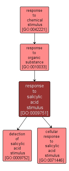 GO:0009751 - response to salicylic acid stimulus (interactive image map)