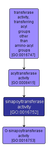 GO:0016752 - sinapoyltransferase activity (interactive image map)