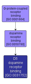 GO:0031752 - D5 dopamine receptor binding (interactive image map)