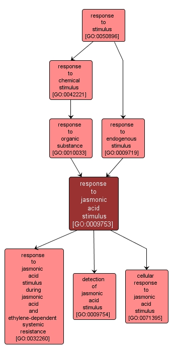 GO:0009753 - response to jasmonic acid stimulus (interactive image map)