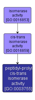 GO:0003755 - peptidyl-prolyl cis-trans isomerase activity (interactive image map)