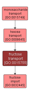 GO:0015755 - fructose transport (interactive image map)