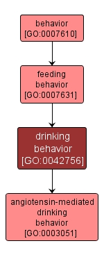 GO:0042756 - drinking behavior (interactive image map)