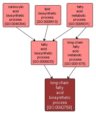 GO:0042759 - long-chain fatty acid biosynthetic process (interactive image map)
