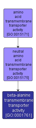 GO:0001761 - beta-alanine transmembrane transporter activity (interactive image map)