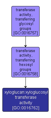 GO:0016762 - xyloglucan:xyloglucosyl transferase activity (interactive image map)