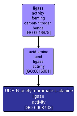 GO:0008763 - UDP-N-acetylmuramate-L-alanine ligase activity (interactive image map)
