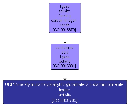 GO:0008765 - UDP-N-acetylmuramoylalanyl-D-glutamate-2,6-diaminopimelate ligase activity (interactive image map)