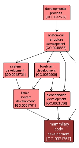 YRC Public Data Repository - Gene Ontology - mammilary body ... YRC Public Data Repository - Gene Ontology - mammilary body ...
