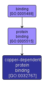 GO:0032767 - copper-dependent protein binding (interactive image map)