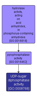 GO:0008768 - UDP-sugar diphosphatase activity (interactive image map)