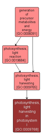 GO:0009768 - photosynthesis, light harvesting in photosystem I (interactive image map)
