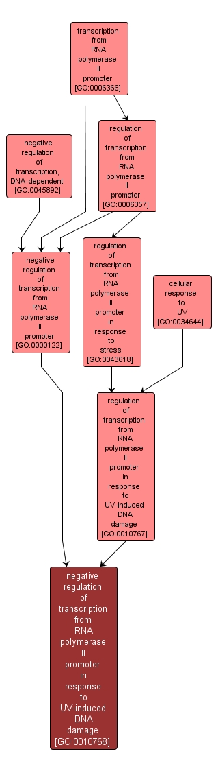 GO:0010768 - negative regulation of transcription from RNA polymerase II promoter in response to UV-induced DNA damage (interactive image map)