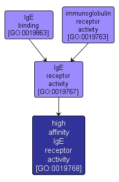 GO:0019768 - high affinity IgE receptor activity (interactive image map)