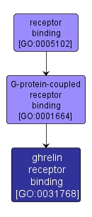 GO:0031768 - ghrelin receptor binding (interactive image map)