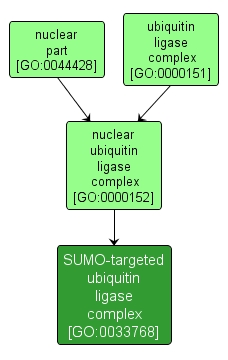 GO:0033768 - SUMO-targeted ubiquitin ligase complex (interactive image map)