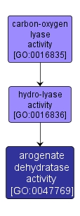 GO:0047769 - arogenate dehydratase activity (interactive image map)