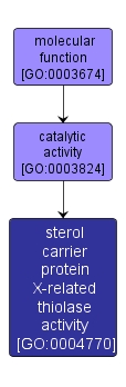 GO:0004770 - sterol carrier protein X-related thiolase activity (interactive image map)