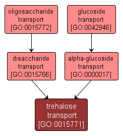 GO:0015771 - trehalose transport (interactive image map)