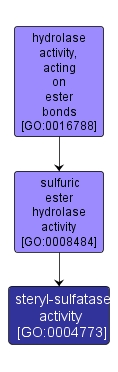 GO:0004773 - steryl-sulfatase activity (interactive image map)
