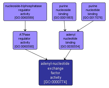 GO:0000774 - adenyl-nucleotide exchange factor activity (interactive image map)