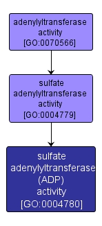 GO:0004780 - sulfate adenylyltransferase (ADP) activity (interactive image map)
