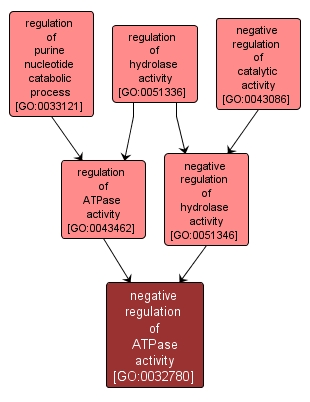 GO:0032780 - negative regulation of ATPase activity (interactive image map)