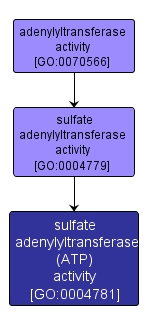 GO:0004781 - sulfate adenylyltransferase (ATP) activity (interactive image map)