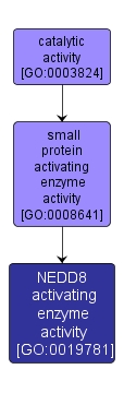GO:0019781 - NEDD8 activating enzyme activity (interactive image map)