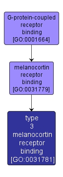 GO:0031781 - type 3 melanocortin receptor binding (interactive image map)