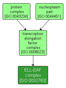 GO:0032783 - ELL-EAF complex (interactive image map)