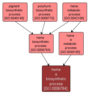 GO:0006784 - heme a biosynthetic process (interactive image map)