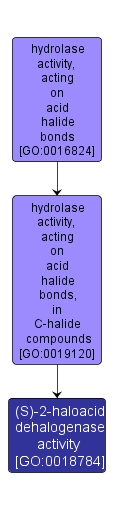 GO:0018784 - (S)-2-haloacid dehalogenase activity (interactive image map)