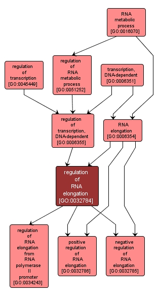GO:0032784 - regulation of RNA elongation (interactive image map)