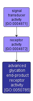 GO:0050785 - advanced glycation end-product receptor activity (interactive image map)