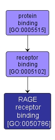 GO:0050786 - RAGE receptor binding (interactive image map)