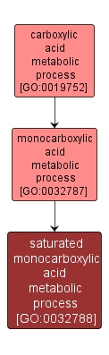 GO:0032788 - saturated monocarboxylic acid metabolic process (interactive image map)