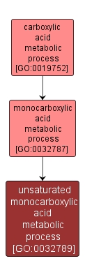 GO:0032789 - unsaturated monocarboxylic acid metabolic process (interactive image map)