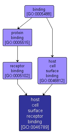 GO:0046789 - host cell surface receptor binding (interactive image map)