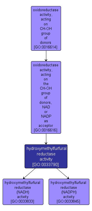 GO:0033790 - hydroxymethylfurfural reductase activity (interactive image map)