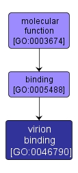 GO:0046790 - virion binding (interactive image map)
