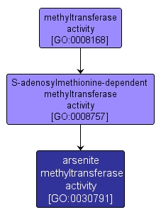 GO:0030791 - arsenite methyltransferase activity (interactive image map)
