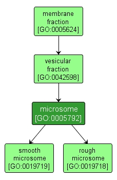 GO:0005792 - microsome (interactive image map)